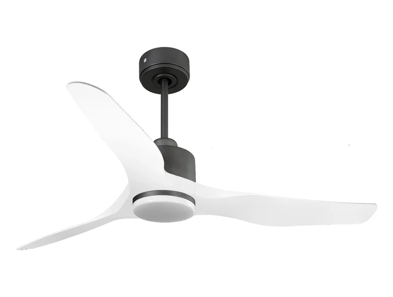 Ventilatore da soffitto Reversibile Termostato Dimmabile Wifi Motore CC Tetti inclinati Telecomando Luce a tre toni Adattatore 2/3 lame Hypersilence Memoria