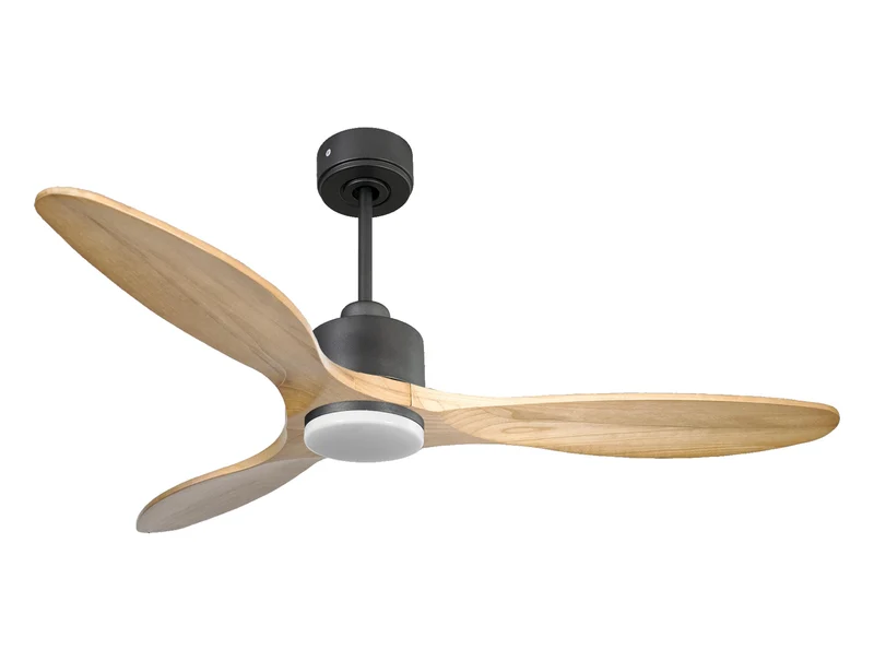 Ventilatore da soffitto Reversibile Termostato Dimmabile Wifi Motore CC Tetti inclinati Telecomando Luce a tre toni Hypersilence Memoria