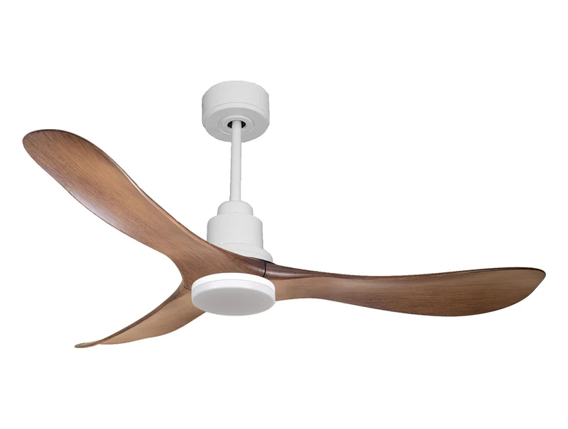 Ventilatore da soffitto Reversibile Termostato Dimmabile Wifi Motore CC Tetti inclinati Telecomando Luce a tre toni Hypersilence Memoria