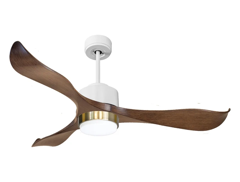 Ventilatore a soffitto ultra silenzioso e a basso consumo DC ZanzibarD132C02LED66133