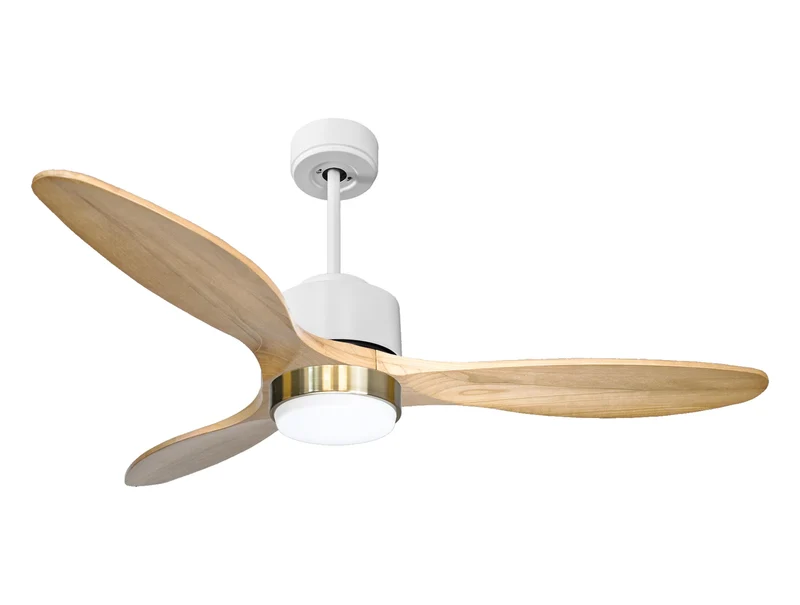 Ventilatore a soffitto ultra silenzioso e a basso consumo DC SalamisD132C02LED66211