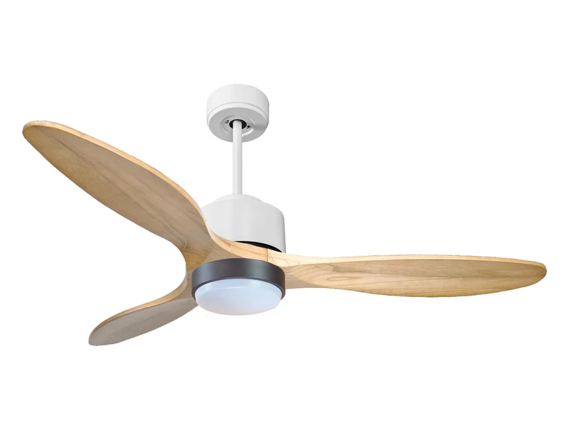 Ventilatore a soffitto ultra silenzioso e a basso consumo DC SalamisD132C02LED66212