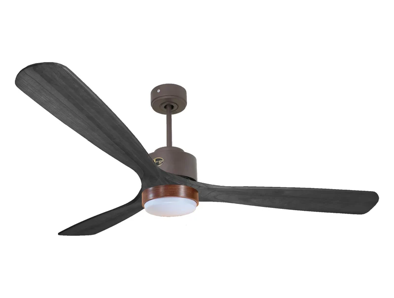 Ventilatore a soffitto ultra silenzioso e a basso consumo DC MaloloD166C02LED65649
