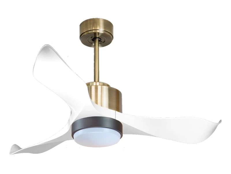 Ventilatore a soffitto ultra silenzioso e a basso consumo DC WhitsundayD106C02LED65765