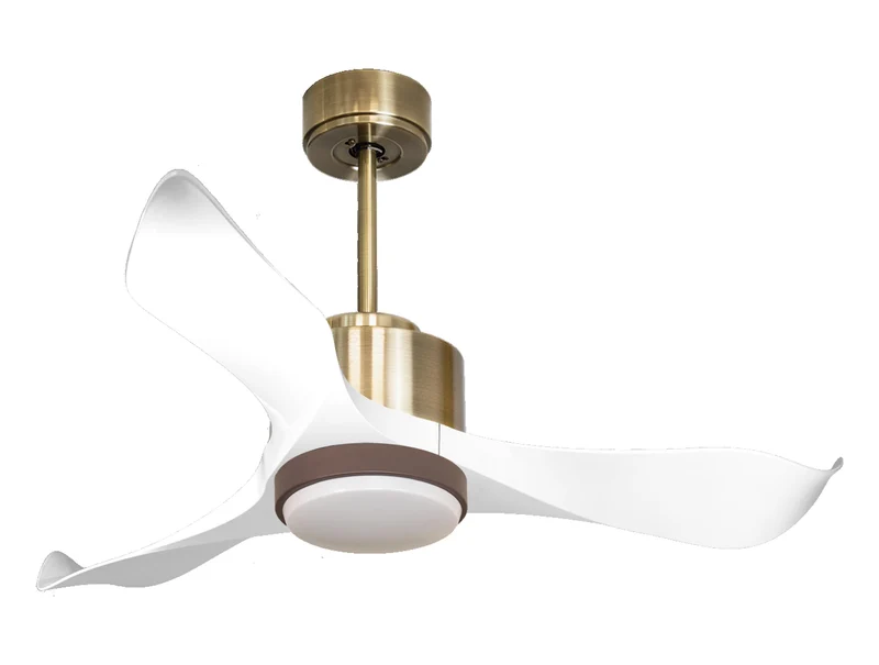 Ventilatore a soffitto ultra silenzioso e a basso consumo DC WhitsundayD106C02LED65768