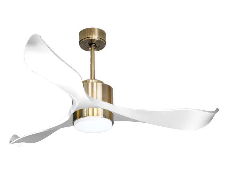 Ventilatore a soffitto ultra silenzioso e a basso consumo DC VirginD132C02LED65787