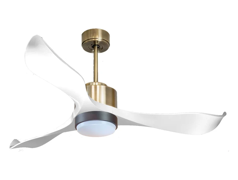 Ventilatore a soffitto ultra silenzioso e a basso consumo DC VirginD132C02LED65788