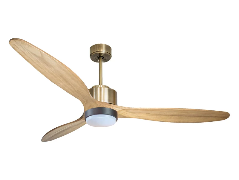 Ventilatore a soffitto ultra silenzioso e a basso consumo DC RangiroaD166C02LED65921
