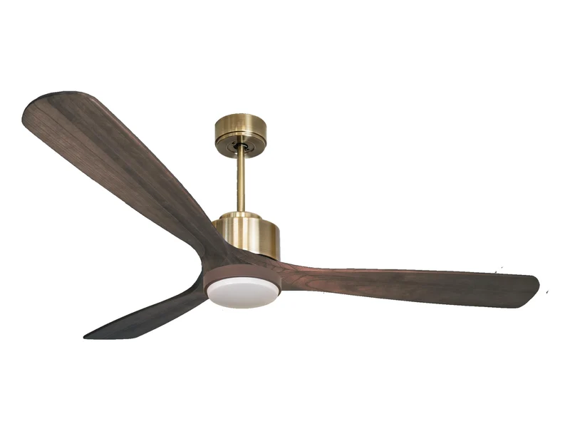 Ventilatore a soffitto ultra silenzioso e a basso consumo DC MarieD166C02LED65999