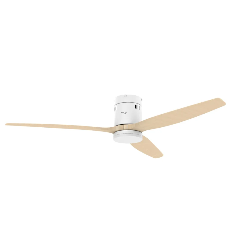 POLAR 3B