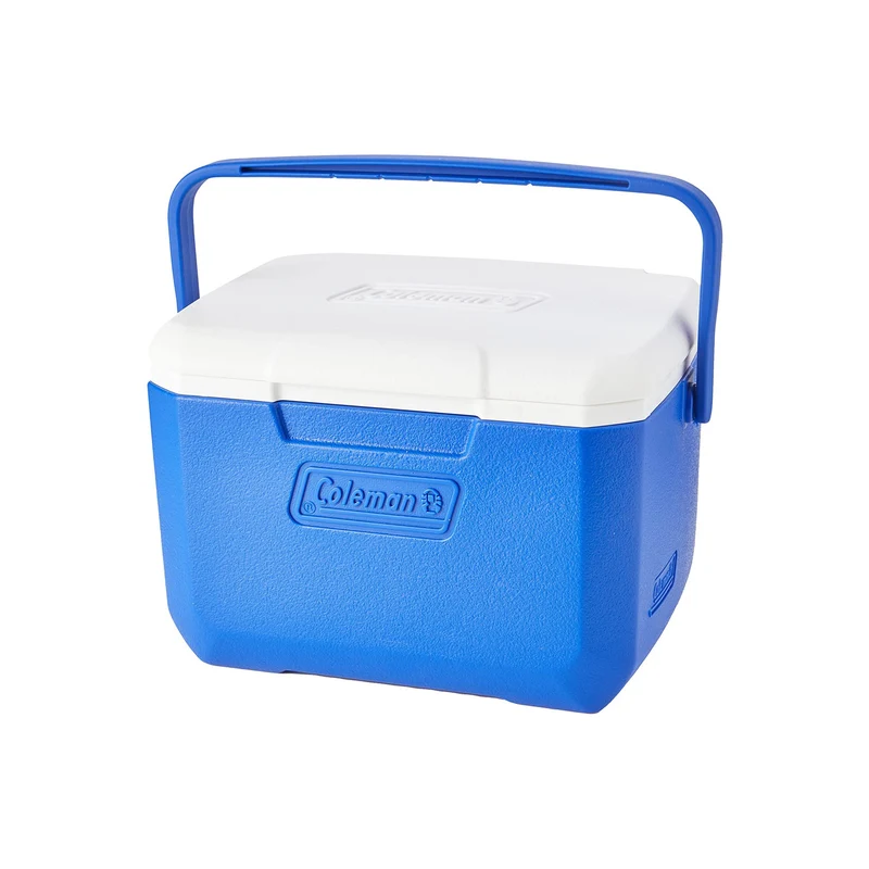 Frigo Termico Ghiacciaia 4l