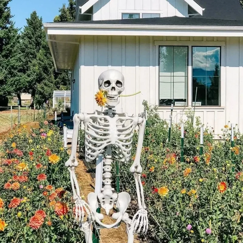 Halloween Garden Skeleton with Movable Joints for Home and Parties